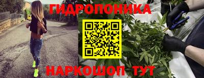 прущие грибы Бугуруслан